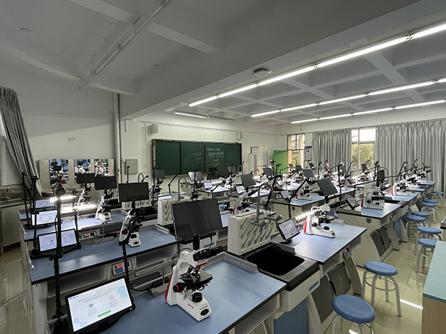 �п����������uϵ�y