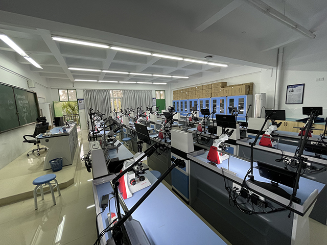 �п����������uϵ�y